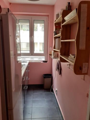 Il comprend une cuisine équipée d'un réfrigérateur et d'une fenêtre. dans l'établissement Appartement Petroff, à Paris
