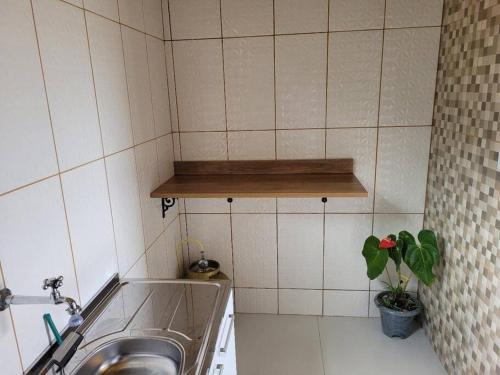 una pequeña cocina con fregadero y planta en Casa em Lavras Novas, en Ouro Preto
