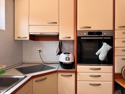 eine Küche mit einem Toaster, einem Backofen und einer Spüle in der Unterkunft Buzahouse in Ljubljana