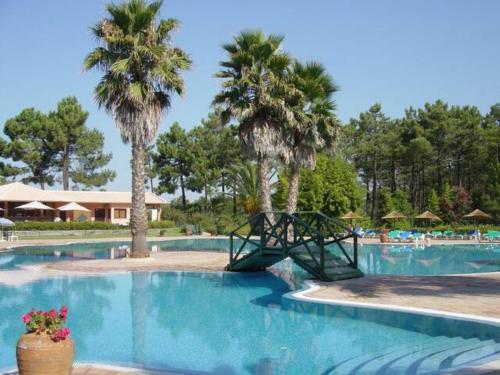 basen z palmami i zjeżdżalnią w obiekcie Exciting Beach Villa w mieście Charneca