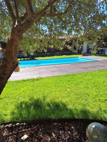 una piscina en un patio con un árbol en Le spot Landais - chambre jardin, en Soustons