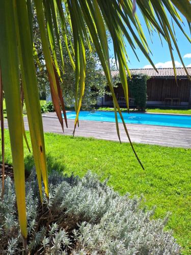 una palmera en un patio con piscina en Le spot Landais - chambre jardin, en Soustons