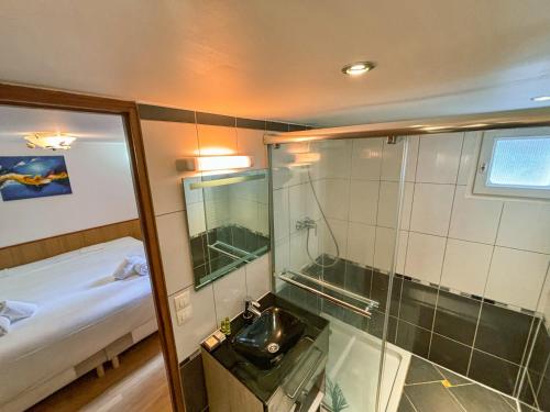 a small bathroom with a shower and a sink at Suite spacieuse Proche Disneyland et Paris in Noisy-le-Grand
