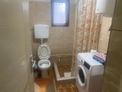 a small bathroom with a toilet and a window at Vila Panic in Pirot