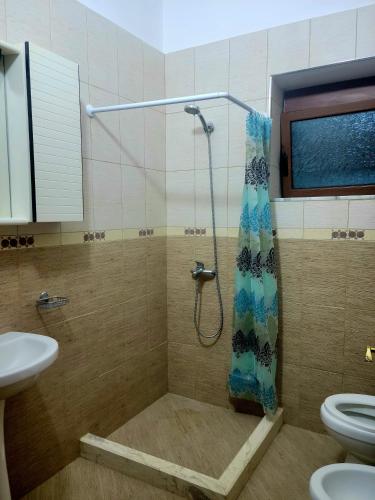 uma casa de banho com um chuveiro e um WC. em Villa Llanaj em Berat