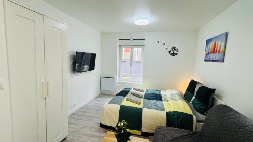 una camera da letto con un letto, un divano e una TV di Nid Confort - 2 pas à la place de Jaude a Clermont-Ferrand