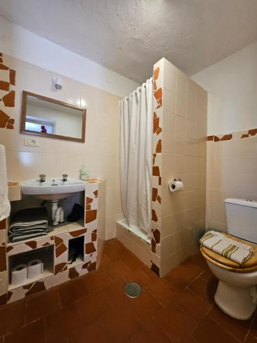 een badkamer met een toilet en een wastafel bij Casa Lara in Hermigua