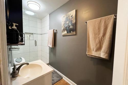 a bathroom with a sink and a toilet and a mirror at Green #23 in Northbrook