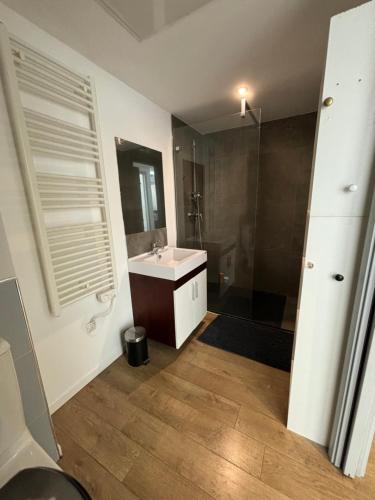 une salle de bain avec un lavabo et une douche dans l'établissement Appartement centre ville, à Corte