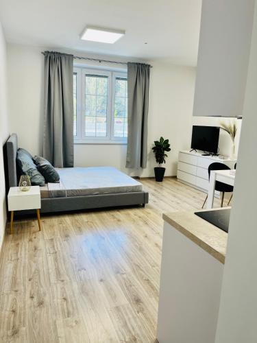 a bedroom with a bed and a television in it at Apartment Riviéra Centrum, private parking and smart check in in Banská Bystrica