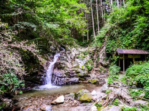 a waterfall in the middle of a forest at Fudouonsen Sawaya in Shimojo mura