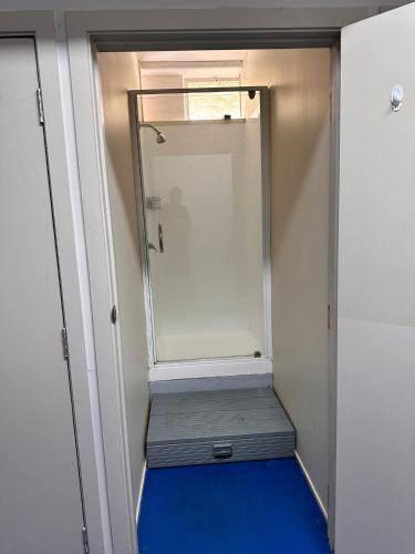 a walk in shower with a blue floor in a room at Hamilton City Inn in Hamilton