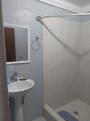 a bathroom with a shower and a sink at Errol and Nancys place in Stapleton Gardens