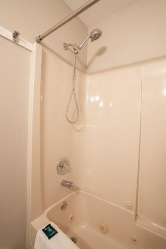 a bathroom with a shower and a tub at Crawford View in Kelowna