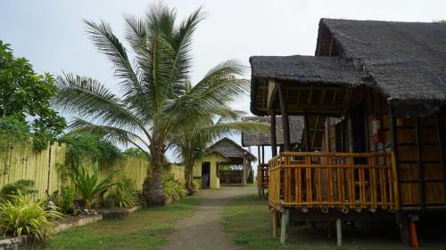 een huis met een palmboom naast een gebouw bij Magindara Guesthouse in Caramoan