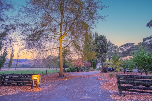 a park with two benches and a tree at Villa City Break for couples 27 mins CHC Airport in Christchurch