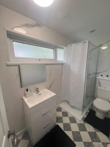 a bathroom with a sink and a shower and a toilet at Elegant House in Barnstaple