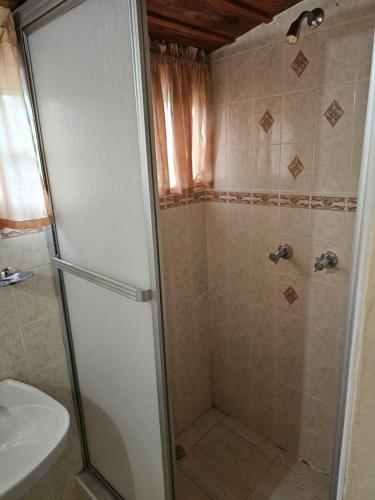 a bathroom with a shower and a sink at Dalkeith Greathouse in Knockpatrick
