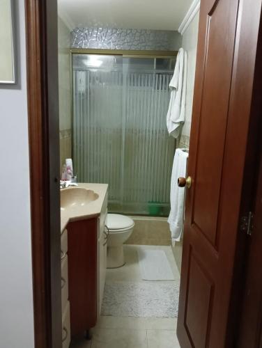 La salle de bains est pourvue de toilettes, d'un lavabo et d'une douche. dans l'établissement HABITACION APARTAMENTO, à Bogotá