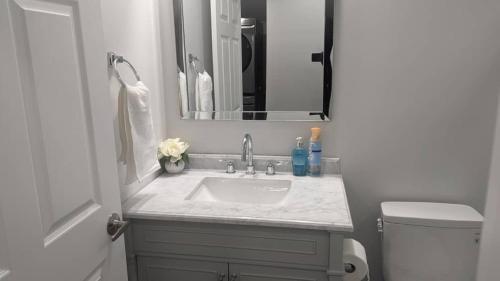 a bathroom with a sink and a mirror at Comfy one bedroom Airdrie in Airdrie
