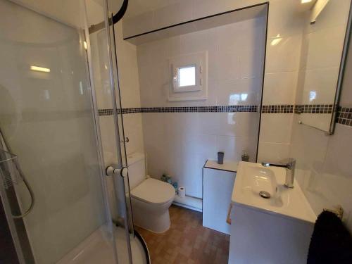 une salle de bain avec une douche, des toilettes et un lavabo dans l'établissement Studio mezzanine à 250m de la plage pour 4 personnes - Terrasse, animaux acceptés - FR-1-423-300, au Grau-dʼAgde