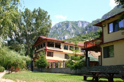 a building with a view of a mountain at Pension Cuibul Viselor in Băile Herculane