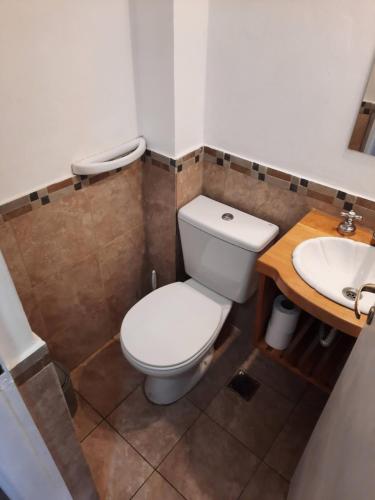 La salle de bains est pourvue de toilettes et d'un lavabo. dans l'établissement Departamento céntrico, à San Martín de los Andes