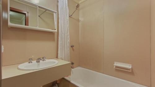 a bathroom with a sink and a shower at 1750 Hotham 12 in Mount Hotham