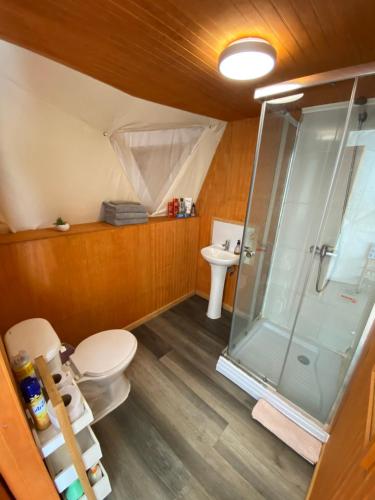 a bathroom with a toilet and a shower at Domo en los vilos, parcela cascabeles in Los Vilos