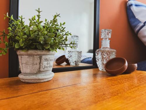um vaso com uma planta sobre uma mesa em frente a um espelho em Casa Tezcal em Oaxaca de Juárez