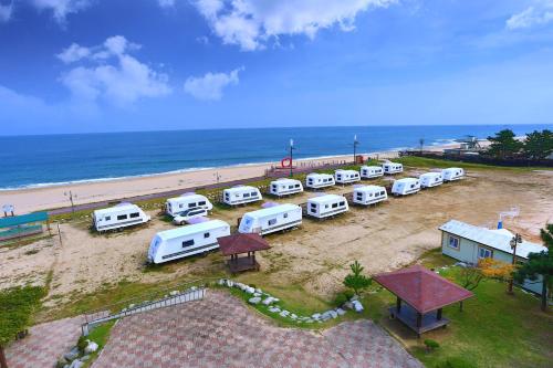 고성 청간정 카라반_2