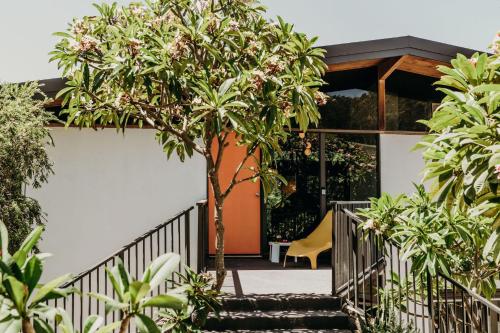 a staircase leading to a house with a tree at The Sundowner, 25 Lentara St - luxury pet friendly retreat with pool in Fingal Bay