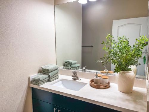 Sunny 1BDR centrally located in Marina del Rey photo 9