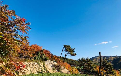 a hill with autumn leaves and a stone wall at Byeoldeul-ui Gichim Pension in Inje
