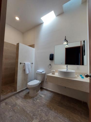 uma casa de banho com um WC, um lavatório e um espelho. em POSADA GUADALUPE AGUASCALIENTES em Aguascalientes
