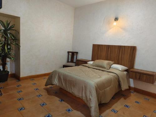 um quarto com uma cama e um vaso de plantas em POSADA GUADALUPE AGUASCALIENTES em Aguascalientes