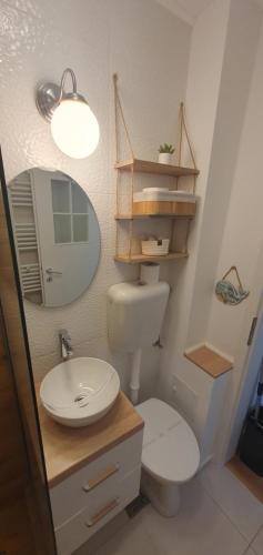 コンスタンツァにあるNeverSea Apartmentのバスルーム(トイレ、洗面台、鏡付)
