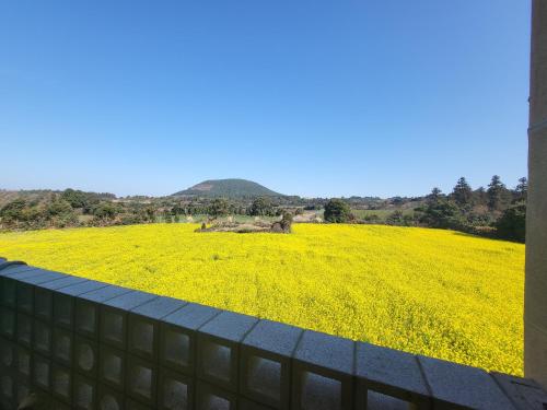 제주 경영 펜션_3