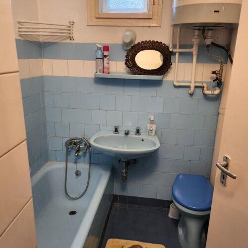 uma pequena casa de banho com lavatório e WC em Mineral Zafír apartman em Igricetanya
