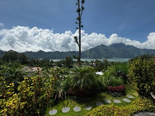 a garden with a palm tree and mountains in the background at Belvilla Break Coffee Kintamani in Kintamani