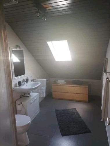 a bathroom with a toilet and a sink and a skylight at Ferien in der Eifel in Berg