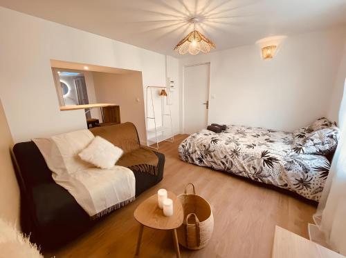 sala de estar con sofá y cama en Le Soul Heaven - Centre historique - Wifi et TV connectée - Stationnement à proximité, en Niort
