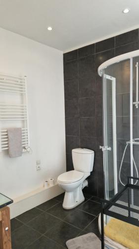 une salle de bain avec toilettes et douche en verre dans l'établissement La belle des Remparts, à Sérignan