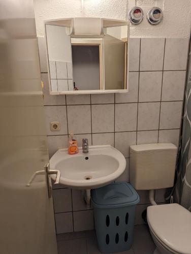 een kleine badkamer met een wastafel en een toilet bij Triasland 2 in Schweinfurt