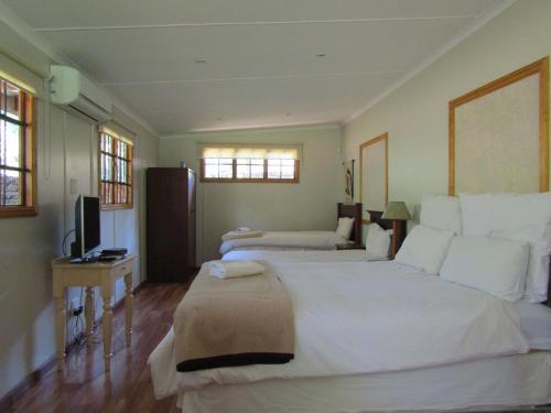 a large bedroom with two beds and a television at The Sleeping Bao B&B in Pietermaritzburg