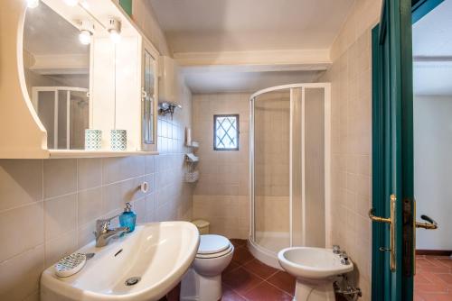 een badkamer met een wastafel, een toilet en een douche bij Casalino in Castelnuovo Berardenga