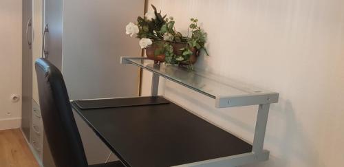 un tavolo di vetro con una pianta in vaso sopra di Apartment Hannover-Hemmingen a Hemmingen