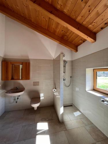 uma casa de banho com um WC, um lavatório e uma janela em Ferienhaus an der Drau em Sankt Oswald