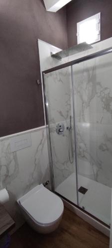 a bathroom with a toilet and a glass shower at Palazzo Sarti Suites in Rodi Garganico