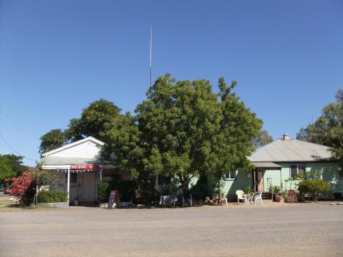 a tree sitting in front of a building with a house at Corella Creek Country Farm Stay in Nelia